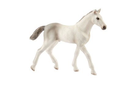 Schleich 17079 Holštýnské hříbě Nové