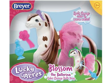 Koník Blossom Baletka Nové