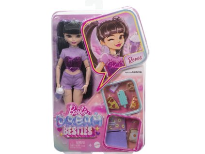 Panenka Barbie Dream Besties Renee Nové