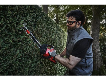 Obojek FORESTO pro kočky a malé psy 38 cm