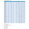 Leon 4022 Dámské korkové pantofle s přezkou přes nárt - Hnědá