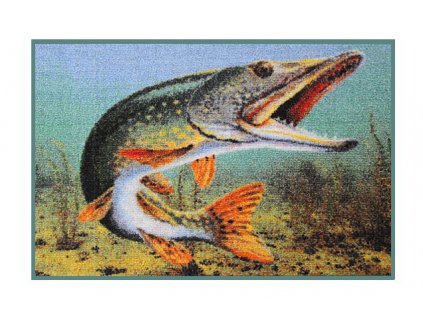 Delphin Rohožka 3D Štika
