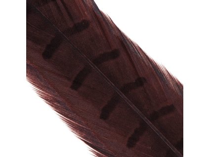 Hends Ocasní Pero z Bažanta Pheasant Tail Claret