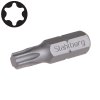 STAHLBERG® Bit šroubovací S2 TORX T10×25 mm