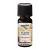 Promed vonný olej Skořice-Pomeranč 10ml