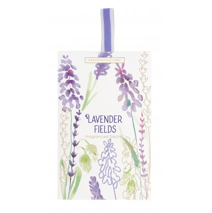 Lavender Fields