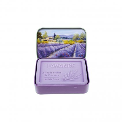 Levandule z Provence
