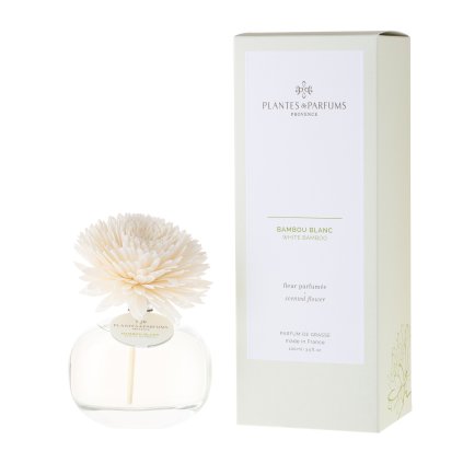 Bambou Blanc