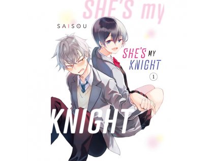She's My Knight 1
