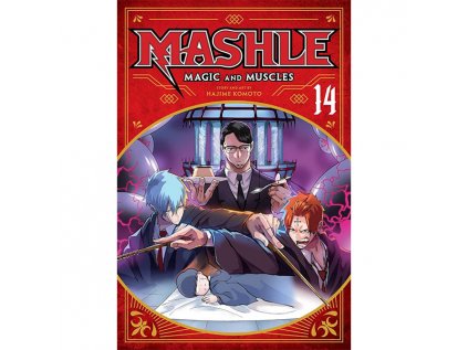 Mashle: Magic and Muscles 14