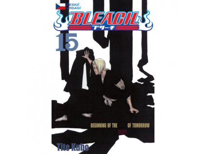 Bleach 15