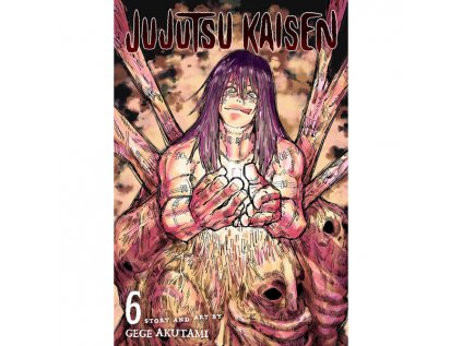 Jujutsu Kaisen 6
