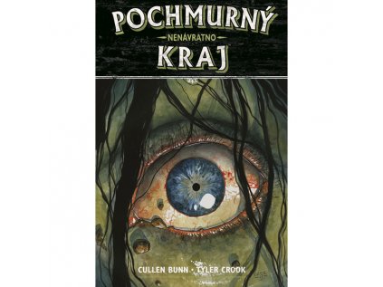 Pochmurný kraj 08: Nenávratno