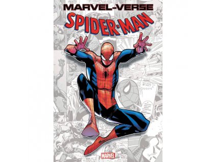 Marvel-Verse: Spider-Man