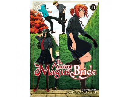 Ancient Magus' Bride 11
