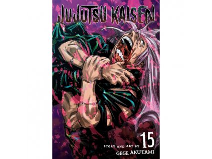 Jujutsu Kaisen 15
