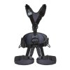 Harness Singing Rock EXPERT 3D standard black