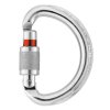 Petzl OMNI SCREW LOCK multi-directional carabiner with safety