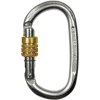 Steel carabiner CT Climbing Technology PILLAR STEEL SG