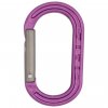 DMM A531PR XSRE Mini Carabiner Purple