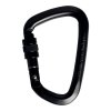 Steel carabiner Singing Rock D carabiner steel LOCK screw black 50kN
