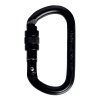 Steel carabiner Singing Rock Oval steel screw carabiner black