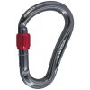 Carabiner CAMP Atom Lock Metallic gray