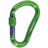 Carabiner CAMP Atom Lock green
