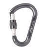 Carabiner BEAL Be Lock Screw