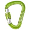 Carabiner BEAL Be Safe green
