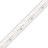 LED pásik KLUŚ KWP-14KHD-0480-24 4,8W/m 240LED/m CRI90+ IP65 KLIK