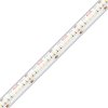 LED pásik KLUŚ KWP-HD-0480-24 4,8W/m 240LED/m CRI90+ IP65