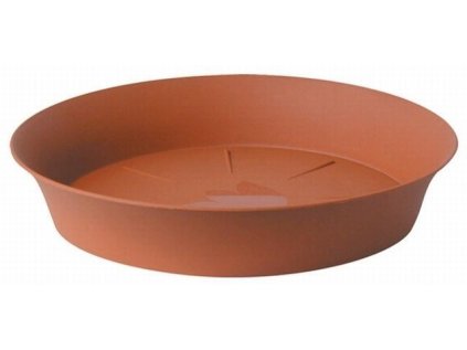 podmiska d26cm TER TULIPÁN