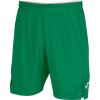 Zelené sportovní kraťasy Joma Toledo II Shorts