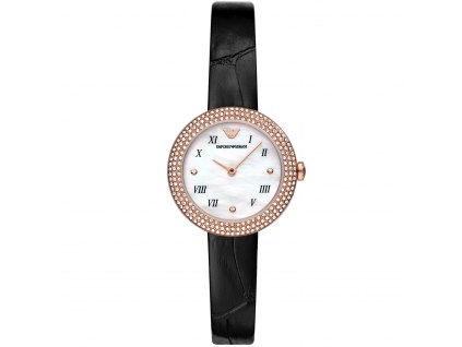 Emporio Armani Watch AR11356