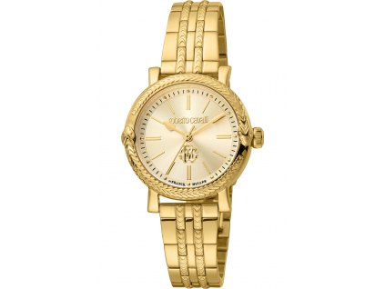 Roberto Cavalli By Franck Muller RV1L193M0051