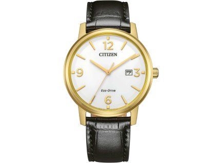 Citizen BM6756-01A  Watch Eco-Drive
