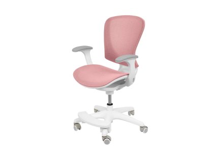 Dětská ergonomická zdravá nastavitelná židle s podnožkou