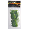Malaysian Fern – Přírodní keřová rostlina M