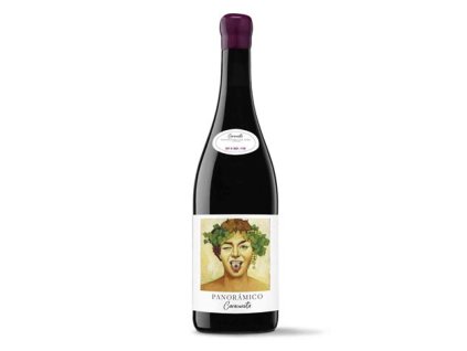 Garnacha Caracuesta 2018, Panoramatico, Rioja