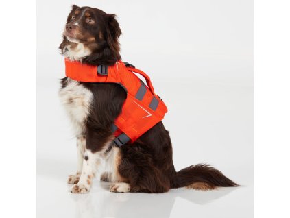 NRS CFD Dog