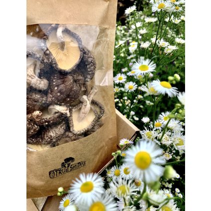 BIO True Shiitake sušené 30g/60g