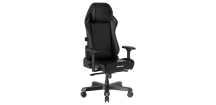 Herní židle DXRacer MASTER, černá / bílá