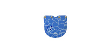 MY PASSPORT KRYT SWIMMER