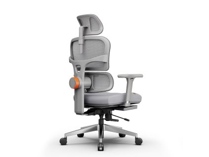 Ergonomická židle NEWTRAL NT002