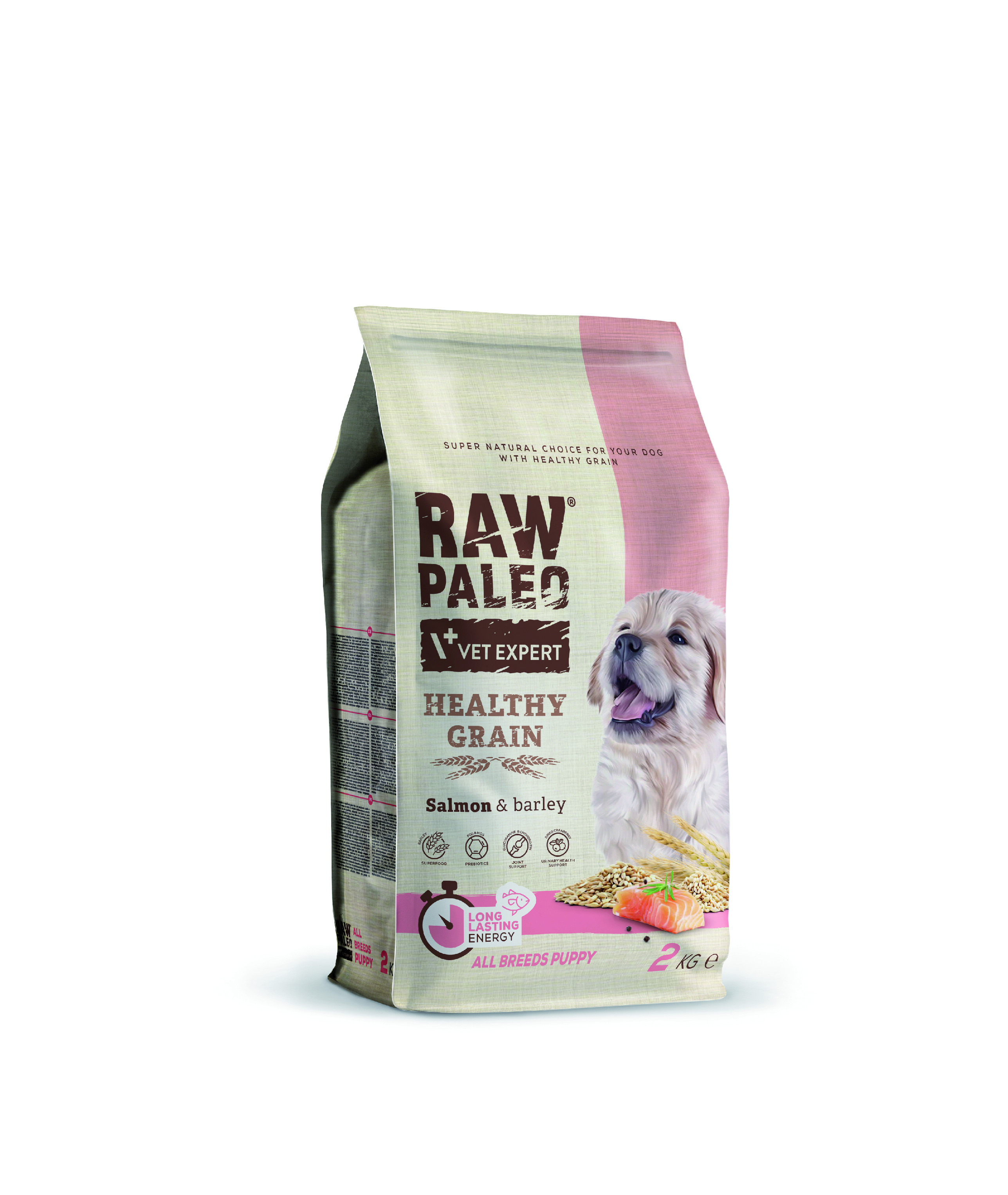 RAW PALEO HEALTHY GRAIN PUPPY SALMON - suché granule pro štěňata